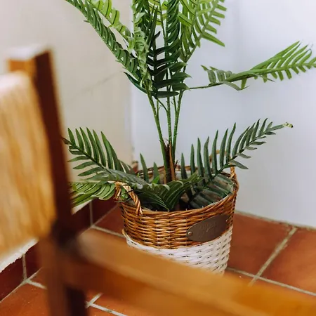 Lithostroto Апартаменты Аргостолион